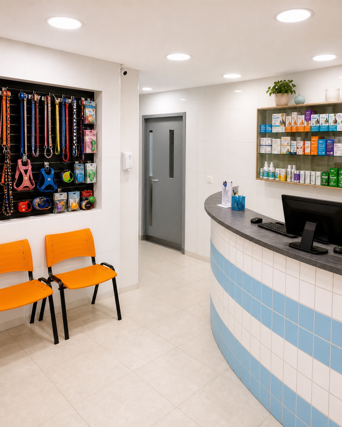 Recepção da clínica veterinária com balcão azul e branco, cadeiras laranja e acessórios para pets